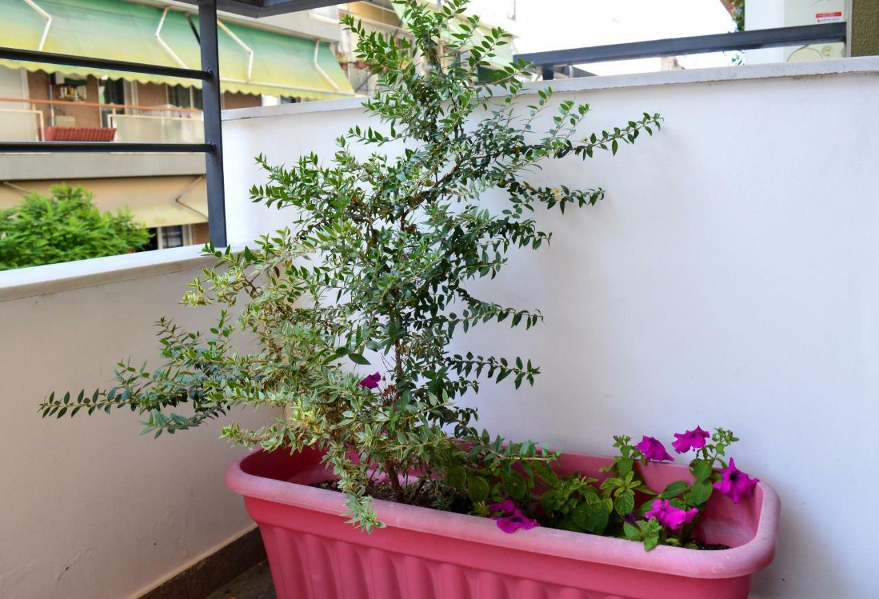 סלוניקי Cosy Studios 1 Close To The City Center מראה חיצוני תמונה